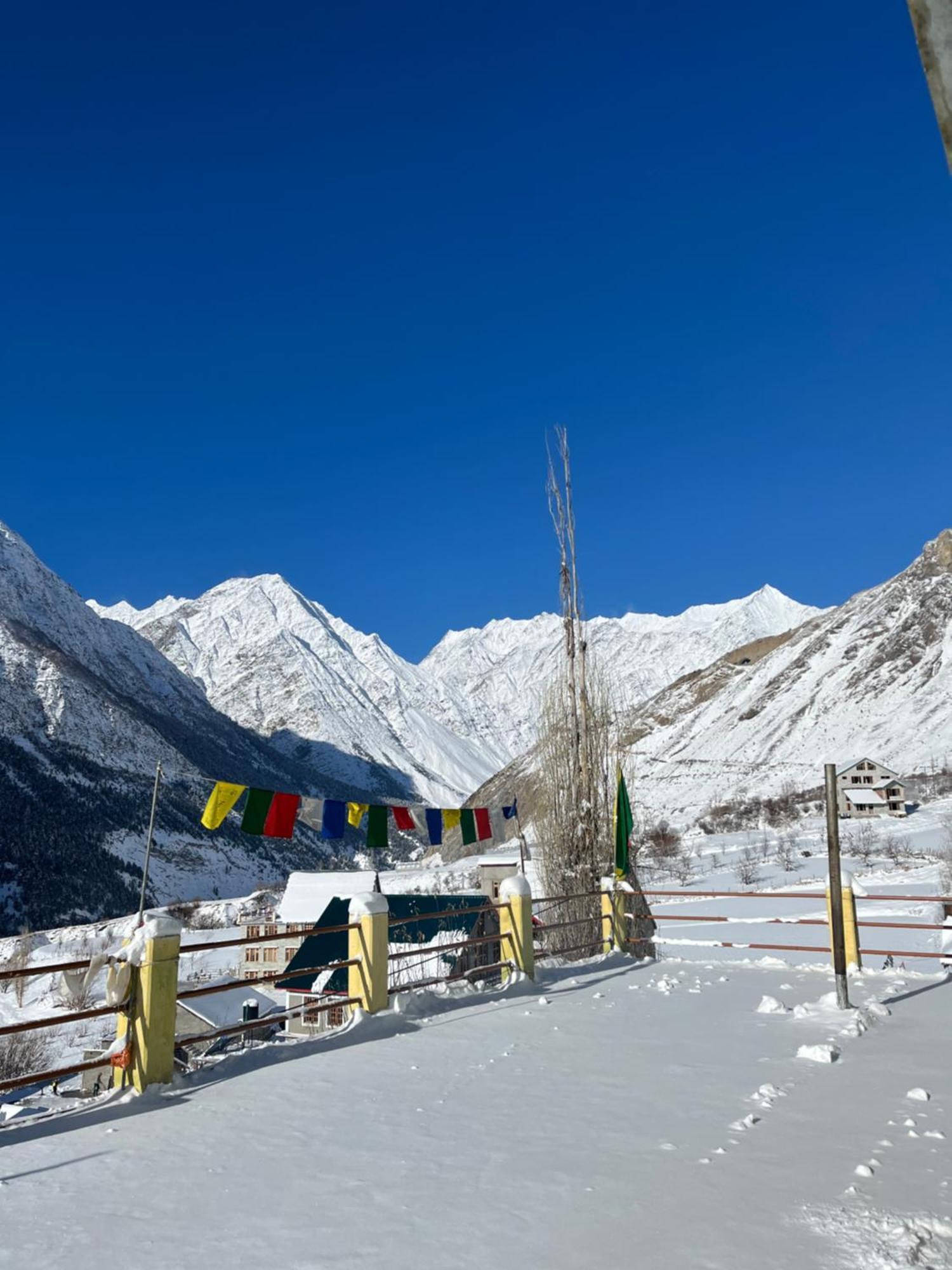Snowflake Homestay Gondhla Exterior foto